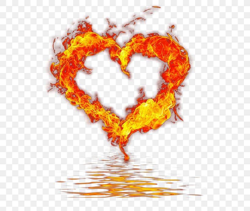 Heart Fire Flame Valentine's Day Instagram, PNG, 606x694px, Watercolor, Cartoon, Flower, Frame, Heart Download Free