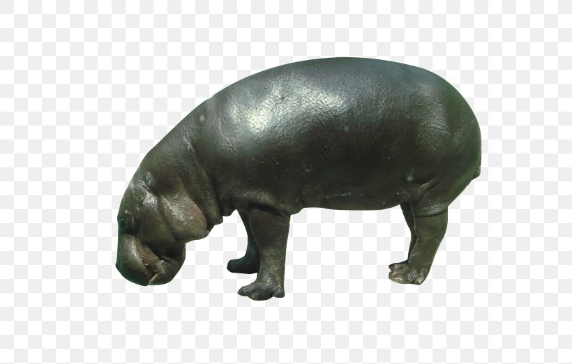 Pygmy Hippopotamus Rhinoceros Wildlife, PNG, 688x522px, Pygmy Hippopotamus, Animal, Choeropsis, Fauna, Hexaprotodon Download Free