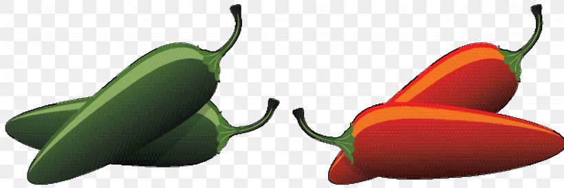 Serrano Pepper Plant, PNG, 2668x892px, Serrano Pepper, Capsicum, Chili Pepper, Fruit, Peppers Download Free
