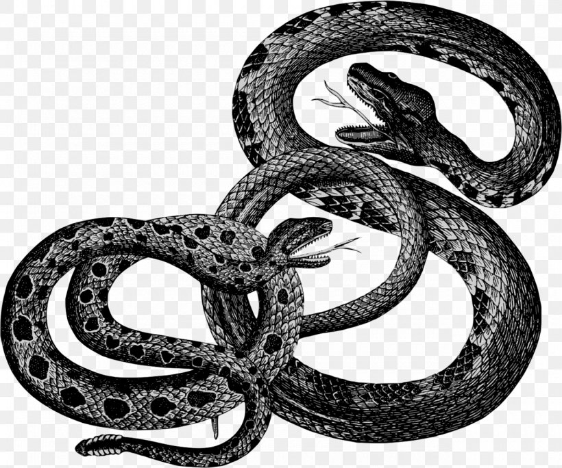 Snake Reptile Clip Art, PNG, 1280x1068px, Snake, Black And White, Boa Constrictor, Boas, Cobra Download Free