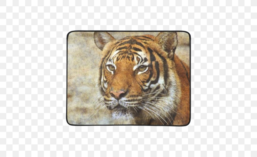 Tiger Whiskers Cat Snout Terrestrial Animal, PNG, 500x500px, Tiger, Animal, Big Cat, Big Cats, Carnivoran Download Free