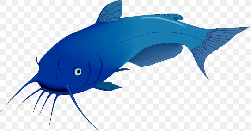 Wels Catfish Noodling Clip Art, PNG, 1150x601px, Catfish, Amur Catfish, Blue, Bony Fish, Cartilaginous Fish Download Free
