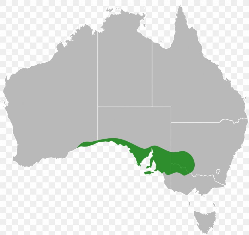 Australia Map Clip Art, PNG, 1086x1024px, Australia, Cartography, Map, Mercator Projection, Photography Download Free