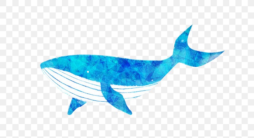 Blue Whale Cartoon, PNG, 658x445px, Whale, Aqua, Azure, Blue, Blue Whale  Download Free