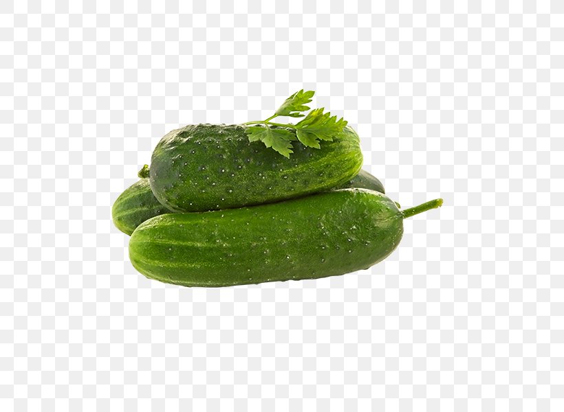 Cucumber Behavior-driven Development Vegetable Clip Art, PNG, 600x600px, Cucumber, Behaviordriven Development, Clipping Path, Computer Software, Cucumber Gourd And Melon Family Download Free