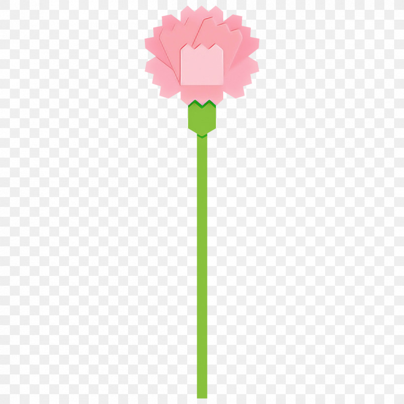 Carnation Flower, PNG, 1200x1200px, Carnation, Flower, Green, Pink, Plant Download Free