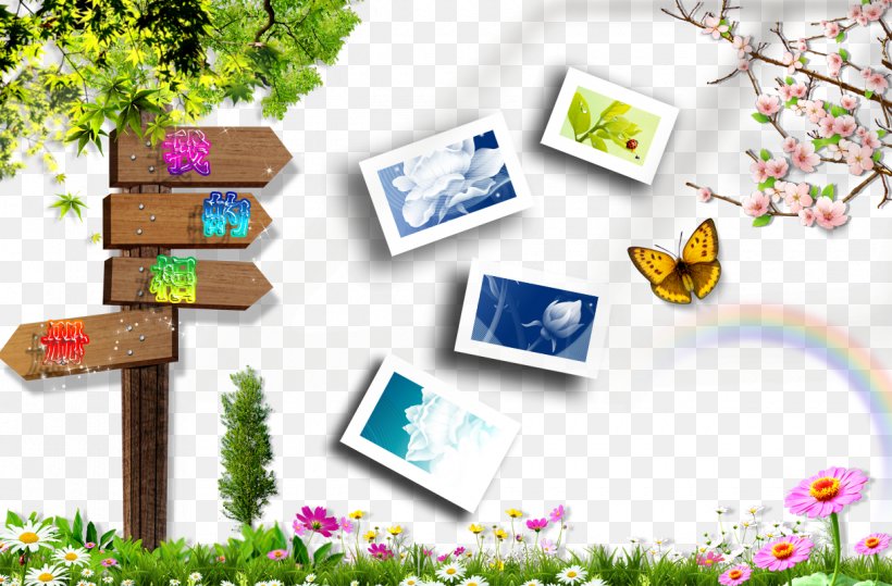 Download Icon, PNG, 1220x802px, Google Images, Designer, Flora, Floral Design, Flower Download Free