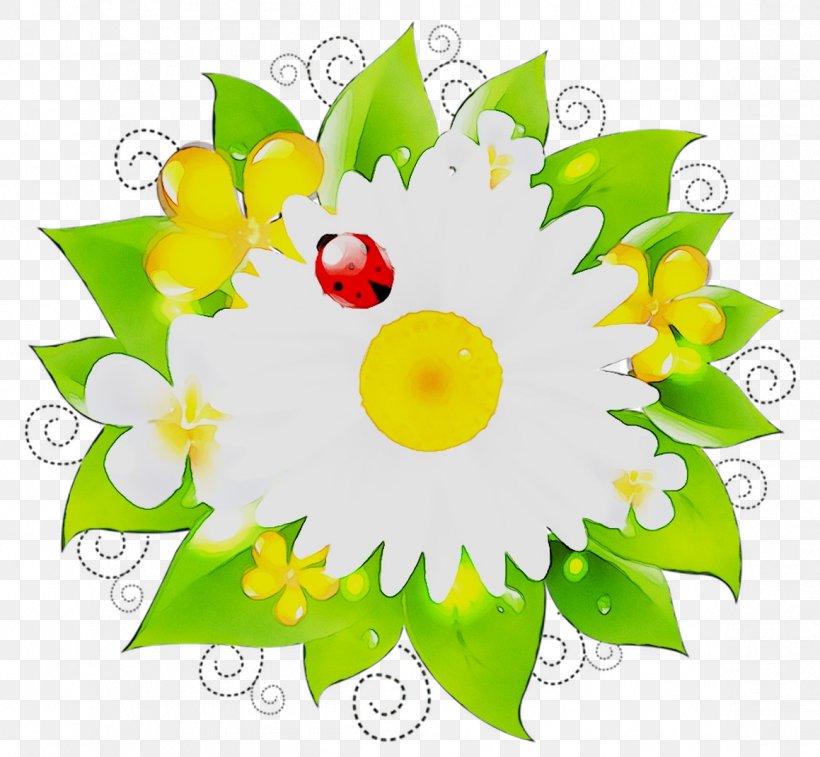 Floral Design Mayweed Chamomile Kindergarten Parent, PNG, 1159x1071px, Floral Design, Bouquet, Camomile, Chamomile, Child Download Free