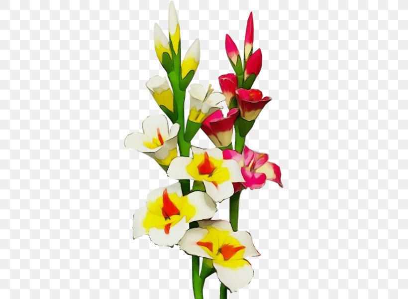 Flower Flowering Plant Plant Cut Flowers Gladiolus, PNG, 600x600px, Watercolor, Bouquet, Cut Flowers, Flower, Flowering Plant Download Free