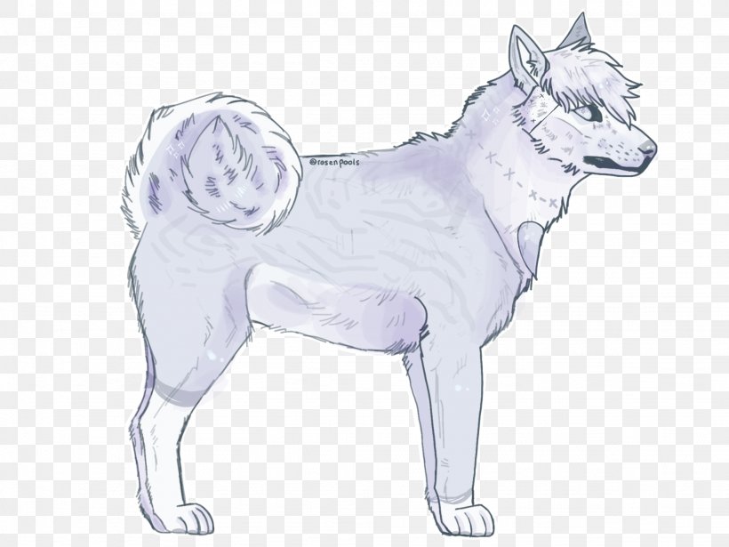 Kishu Dog Breed Puppy Sketch Whiskers, PNG, 2048x1536px, Kishu, Artwork, Breed, Breed Group Dog, Carnivoran Download Free