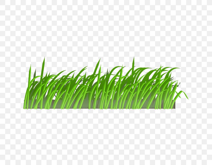 Lawn Cartoon Clip Art, PNG, 640x640px, Lawn, Aquarium Decor, Cartoon, Chrysopogon Zizanioides, Commodity Download Free