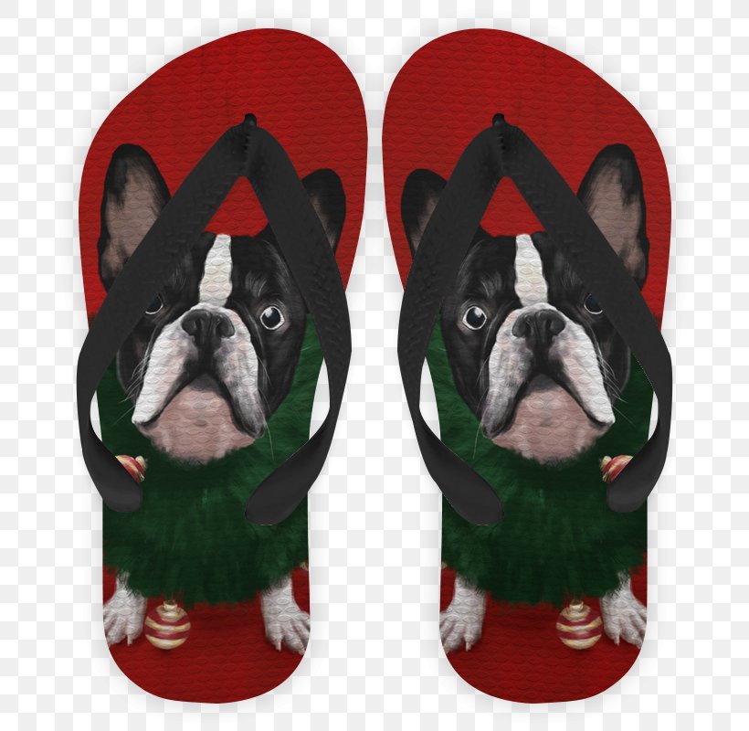 Boston Terrier Dog Breed Non-sporting Group Snout, PNG, 800x800px, Boston Terrier, Boston, Breed, Carnivoran, Dog Download Free