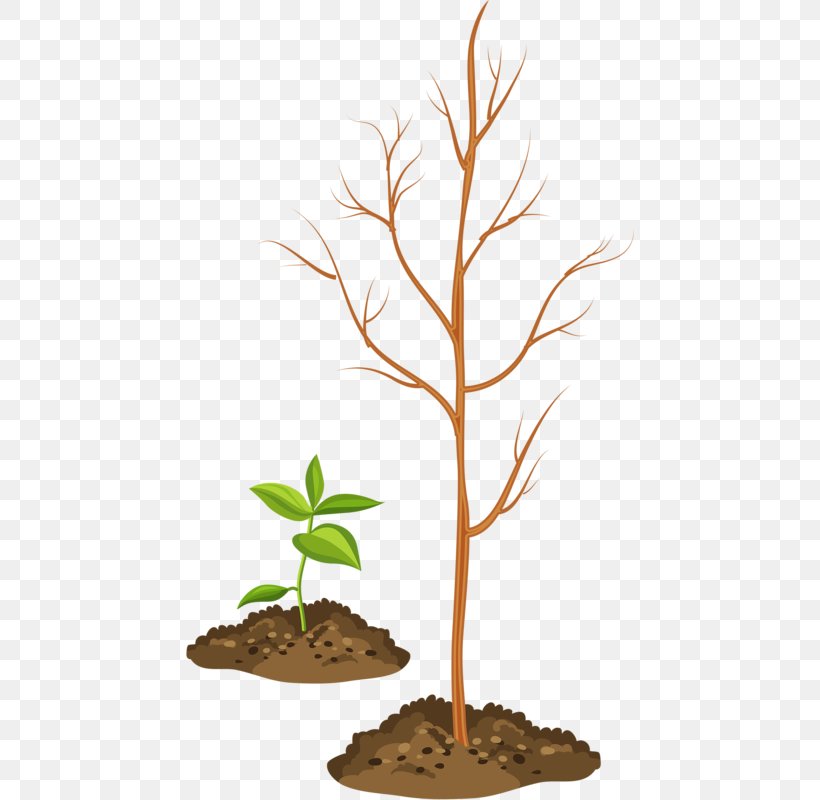 Jigsaw Puzzle Illustration, PNG, 448x800px, Jigsaw Puzzle, Arbor Day, Branch, Flower, Flowerpot Download Free
