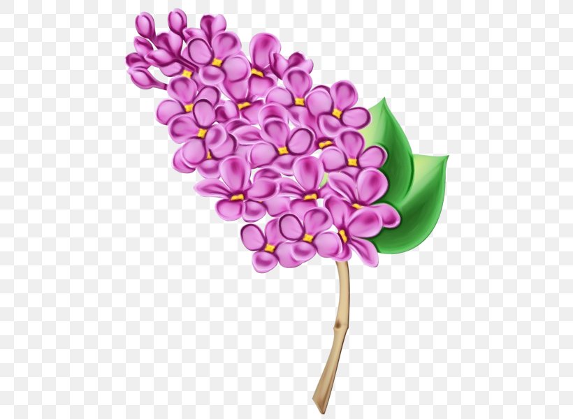Lilac Flower Lilac Plant Purple, PNG, 481x600px, Watercolor, Cut Flowers, Flower, Lilac, Paint Download Free