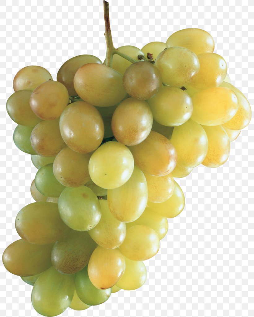 Sultana Common Grape Vine Clip Art, PNG, 807x1024px, Sultana, Auglis, Berry, Common Grape Vine, Cultivar Download Free