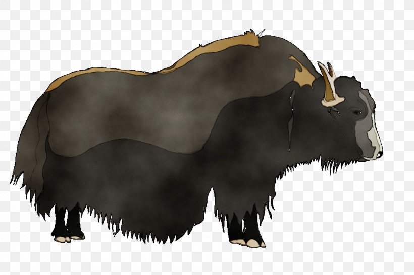 Yak Bovine Terrestrial Animal Wildlife Ox, PNG, 1024x683px, Watercolor, Animal Figure, Bovine, Bull, Cowgoat Family Download Free