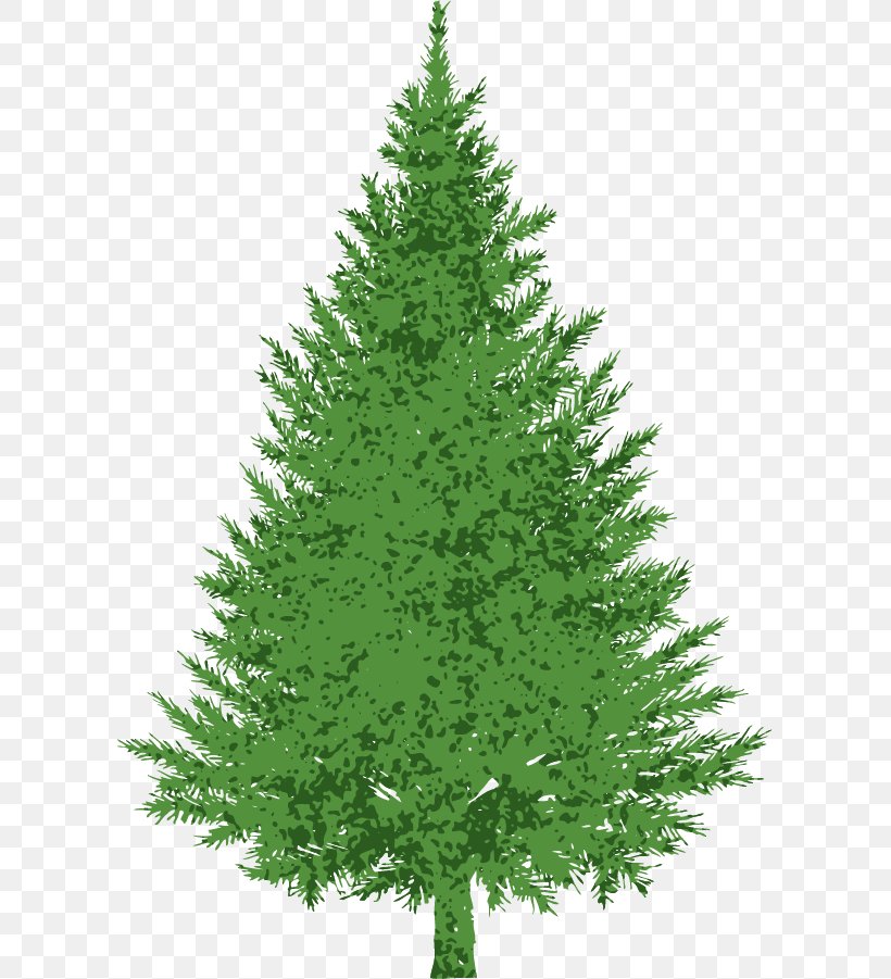 Evergreen Pine Royalty-free Clip Art, PNG, 603x901px, Evergreen, Biome, Christmas Decoration, Christmas Ornament, Christmas Tree Download Free