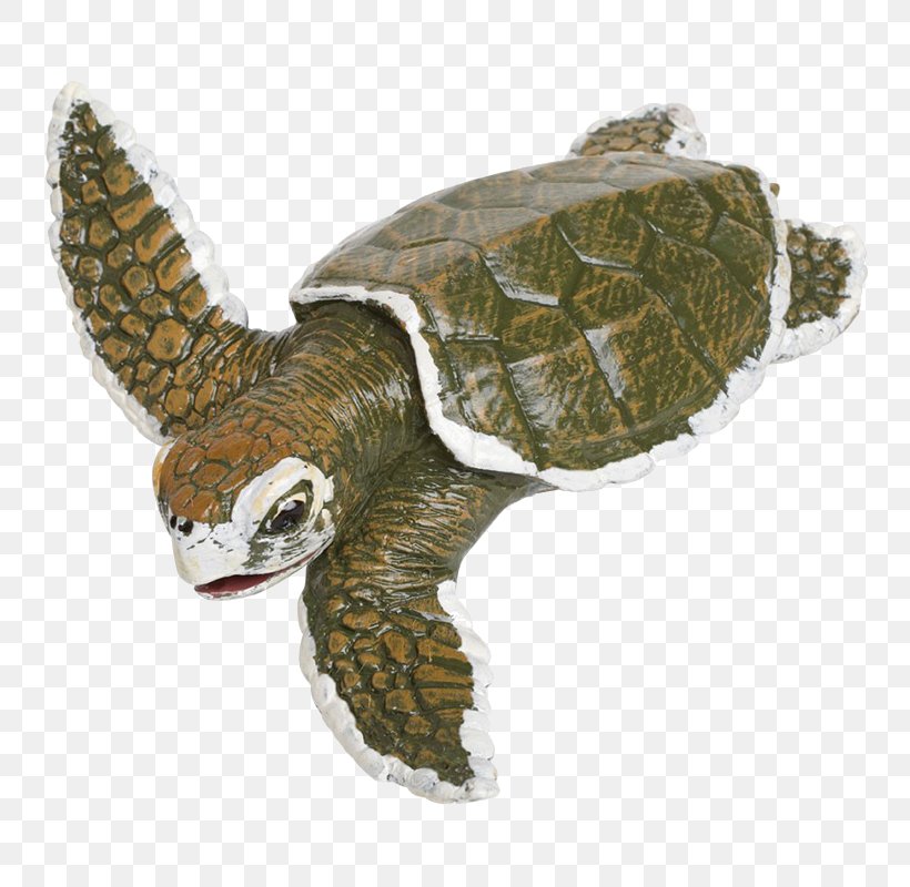 Kemp's Ridley Sea Turtle Reptile Protecting Sea Turtles Safari Ltd, PNG, 800x800px, Turtle, Animal Figure, Chelydridae, Child, Emydidae Download Free