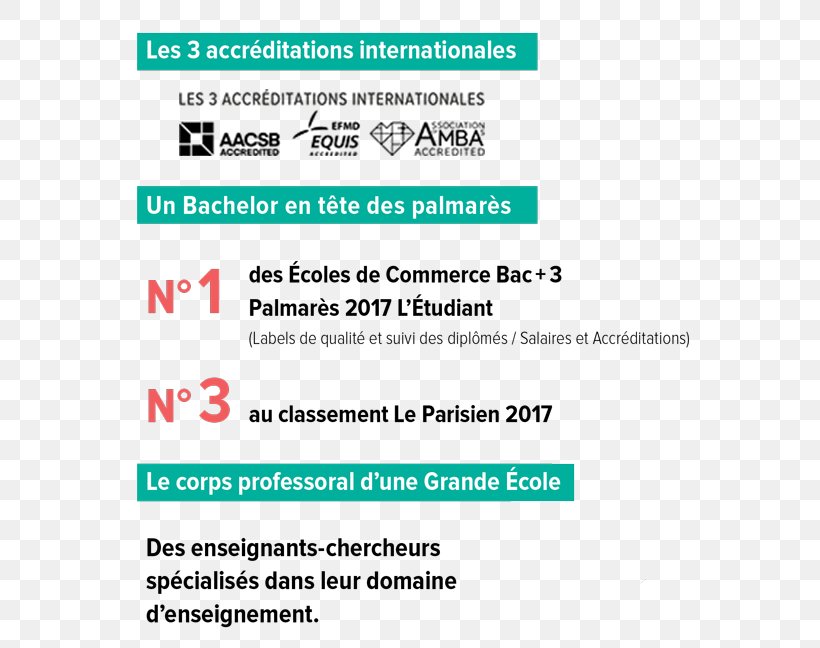 Toulouse Business School Casablanca Organization Management, PNG, 600x648px, Toulouse Business School, Area, Brand, Business School, Casablanca Download Free