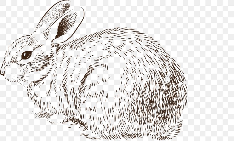 Easter Bunny Rabbit Drawing Illustration, PNG, 1024x620px, Easter Bunny, Black And White, Domestic Rabbit, Drawing, Fauna Download Free