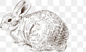 Easter Bunny Rabbit Drawing Clip Art, PNG, 784x669px, Easter Bunny ...
