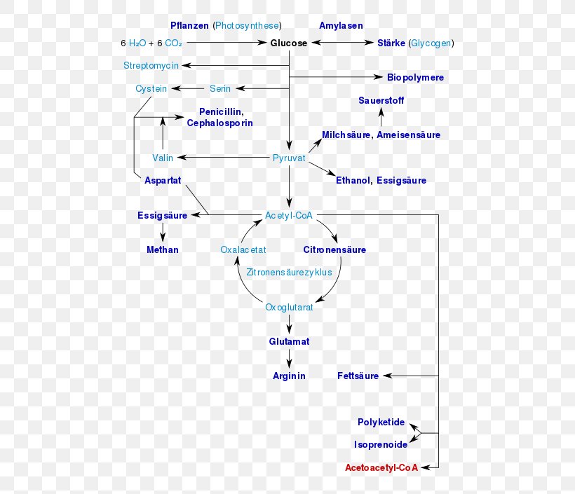 Glucose Monosaccharide Fructose Food Sugar, PNG, 500x705px, Glucose, Area, Blood Sugar, Carbohydrate, Chemical Compound Download Free