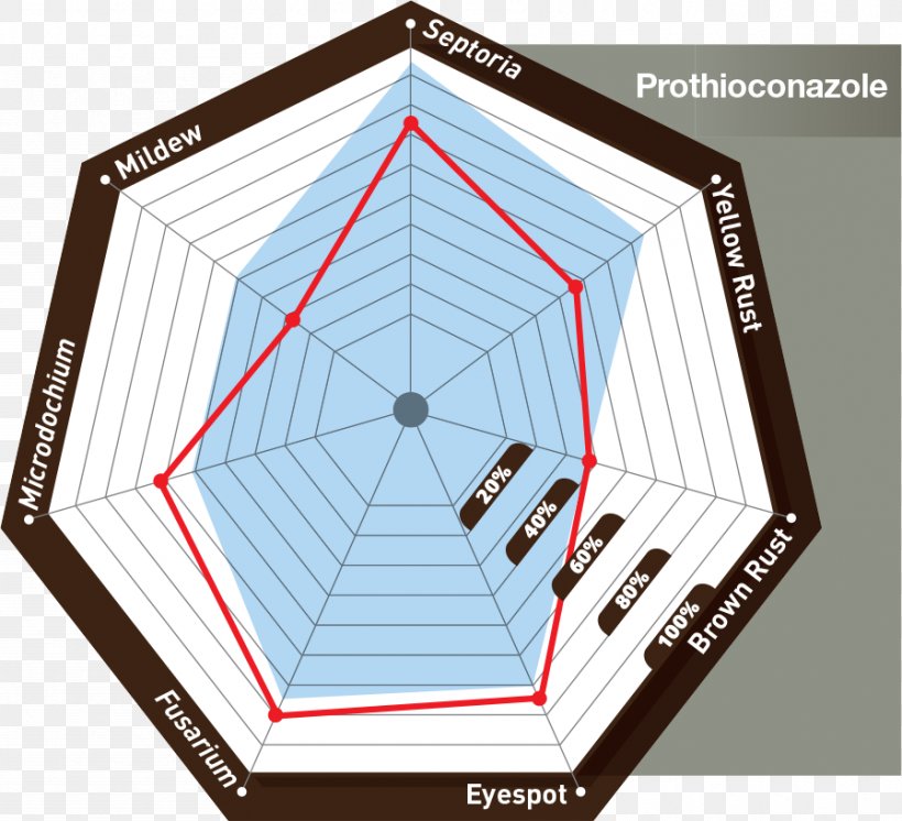 Roof Line Sports Venue Pattern, PNG, 897x817px, Roof, Area, Daylighting, Diagram, Sport Download Free