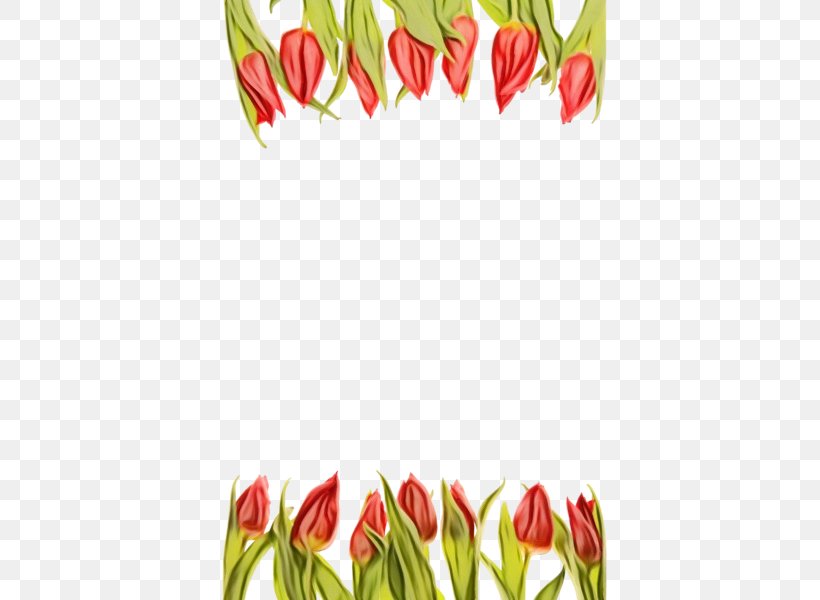 Watercolor Floral Background, PNG, 600x600px, Watercolor, Anthurium, Botany, Bud, Cut Flowers Download Free