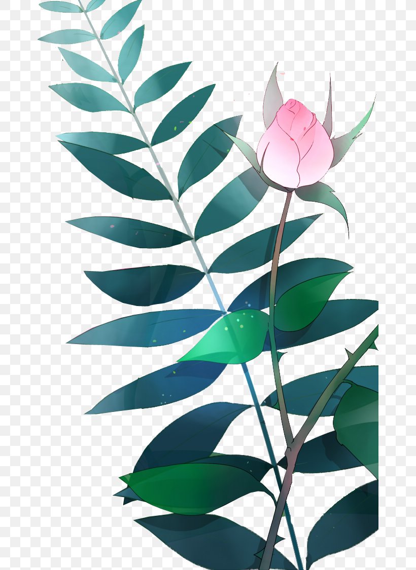 Watercolor Painting Youku Nelumbo Nucifera Icon, PNG, 673x1125px, Watercolor Painting, Branch, Computer Network, Drawing, Flora Download Free