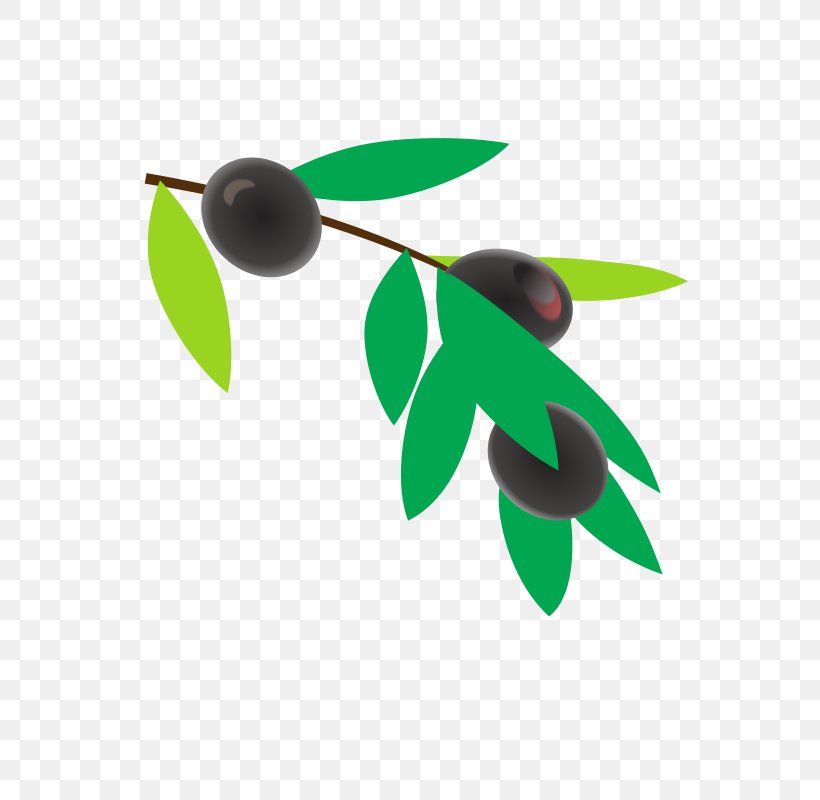 Coffee Coffea Plant Clip Art, PNG, 566x800px, Coffee, Branch, Coffea, Coffee Bean, Drawing Download Free