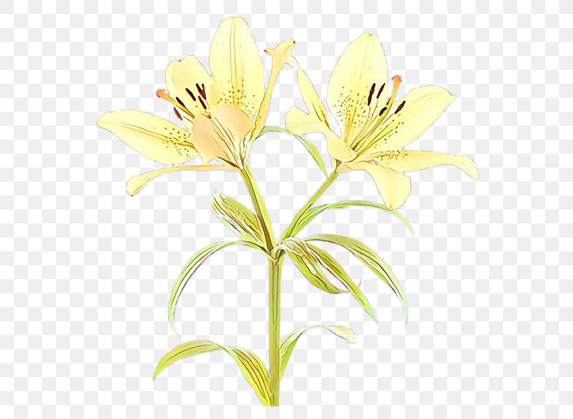 Cut Flowers Lily Of The Incas Plant Stem Pollen Plants, PNG, 600x600px, Cut Flowers, Alstroemeriaceae, Daylily, Flower, Flowering Plant Download Free