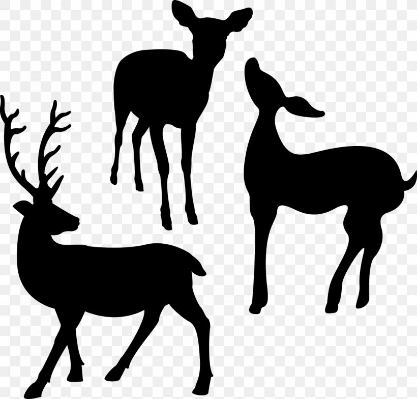 drawing stencil painting template png 1600x1530px drawing aerosol spray air brushes antelope art download free