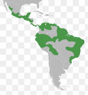 Distribution - Latin America South America United States Map PNG