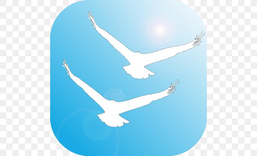 Seabird Peace Symbols Beak Water Bird, PNG, 500x500px, Bird, Azure, Beak, Blue, Computer Download Free
