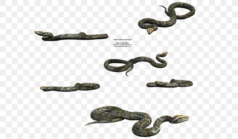 Snake Vipers Burmese Python, PNG, 600x480px, 3d Computer Graphics, Snake, Ball Python, Burmese Python, Carpet Python Download Free
