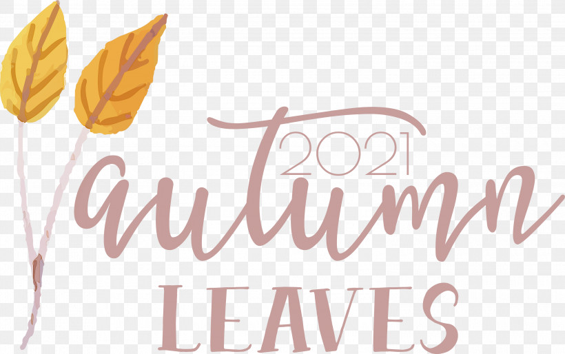 Autumn Leaves Autumn Fall, PNG, 3000x1882px, Autumn Leaves, Autumn, Fall, Flower, Leaf Download Free