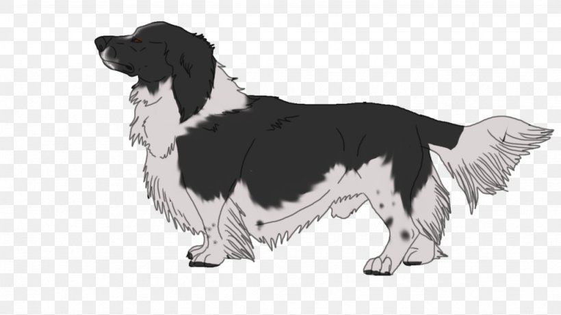 English Springer Spaniel Drentse Patrijshond Stabyhoun Dog Breed Tig Trager, PNG, 1024x576px, English Springer Spaniel, Art, Black And White, Breed, Carnivoran Download Free