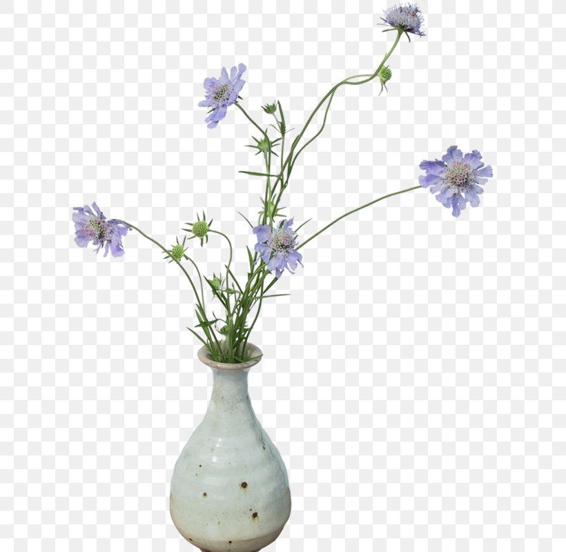 Vase Clip Art Image Flower, PNG, 611x800px, Vase, Branch, Chicory, Cut Flowers, Drawing Download Free