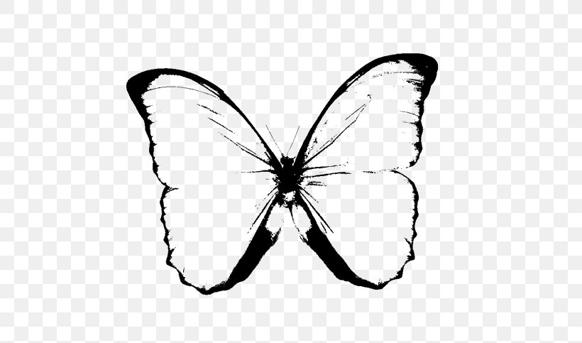 Butterfly Black And White Drawing Clip Art, PNG, 626x483px, Butterfly, Arthropod, Black And White, Brush Footed Butterfly, Drawing Download Free