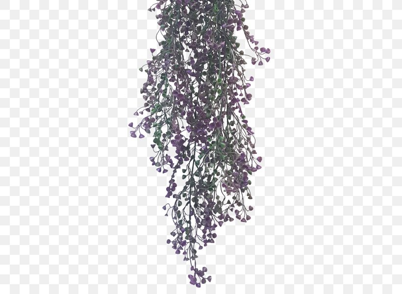 Common Lilac Shrub Color Plant, PNG, 800x600px, Common Lilac, Barcode, Branch, Color, Flower Bouquet Download Free