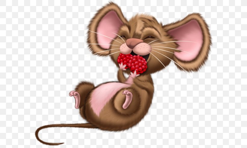 Computer Mouse Rat Drawing, PNG, 600x490px, Mouse, Carnivoran, Cat, Cat Like Mammal, Computer Mouse Download Free