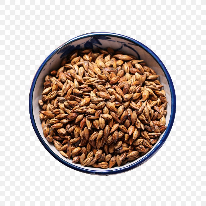 Oat Barley, PNG, 882x882px, Oat, Barley, Cereal, Cereal Germ, Commodity Download Free