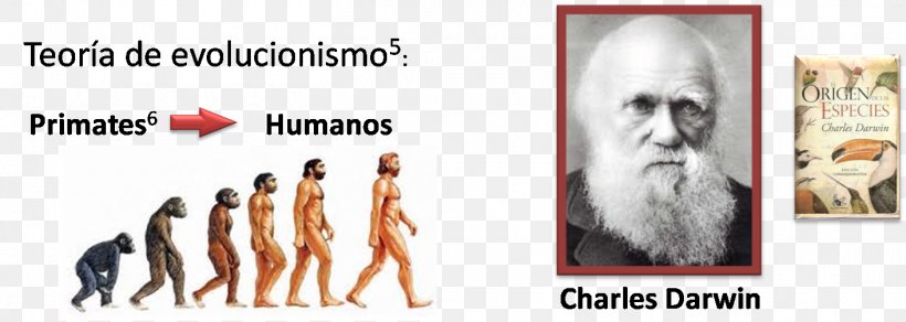 On The Origin Of Species Human Evolution Human Behavior Hair Coloring, PNG, 1412x503px, On The Origin Of Species, Amyotrophic Lateral Sclerosis, Behavior, Charles Darwin, Evolution Download Free