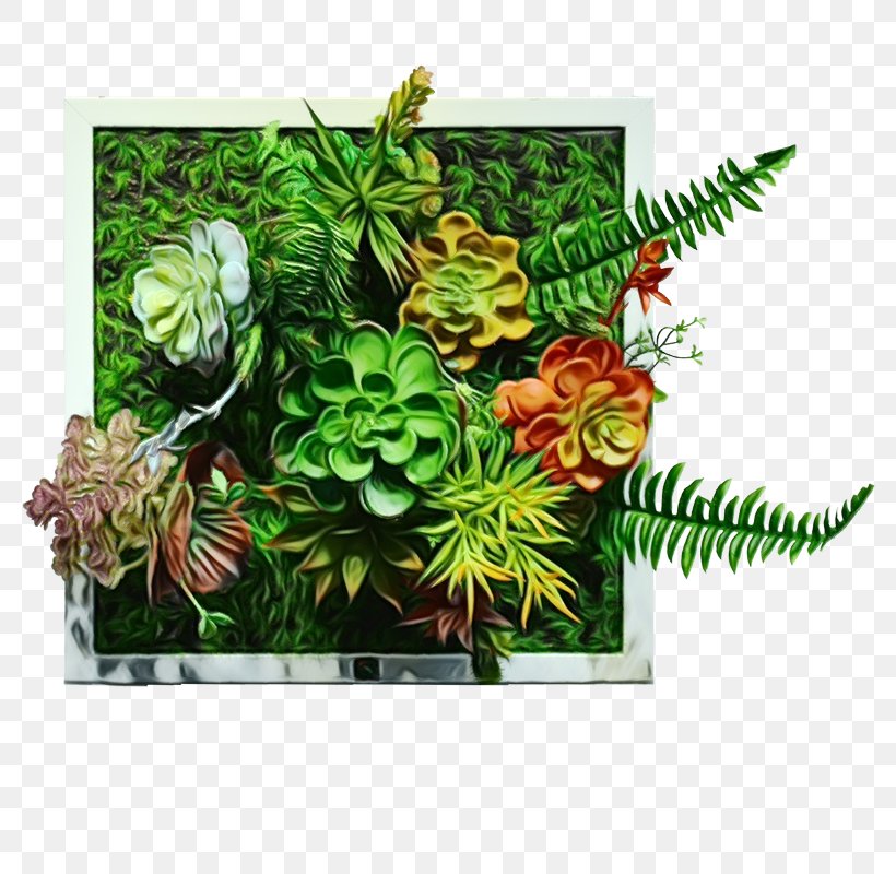 Green Leaf Background, PNG, 800x800px, Flower, Anthurium, Fern, Flowerpot, Green Download Free