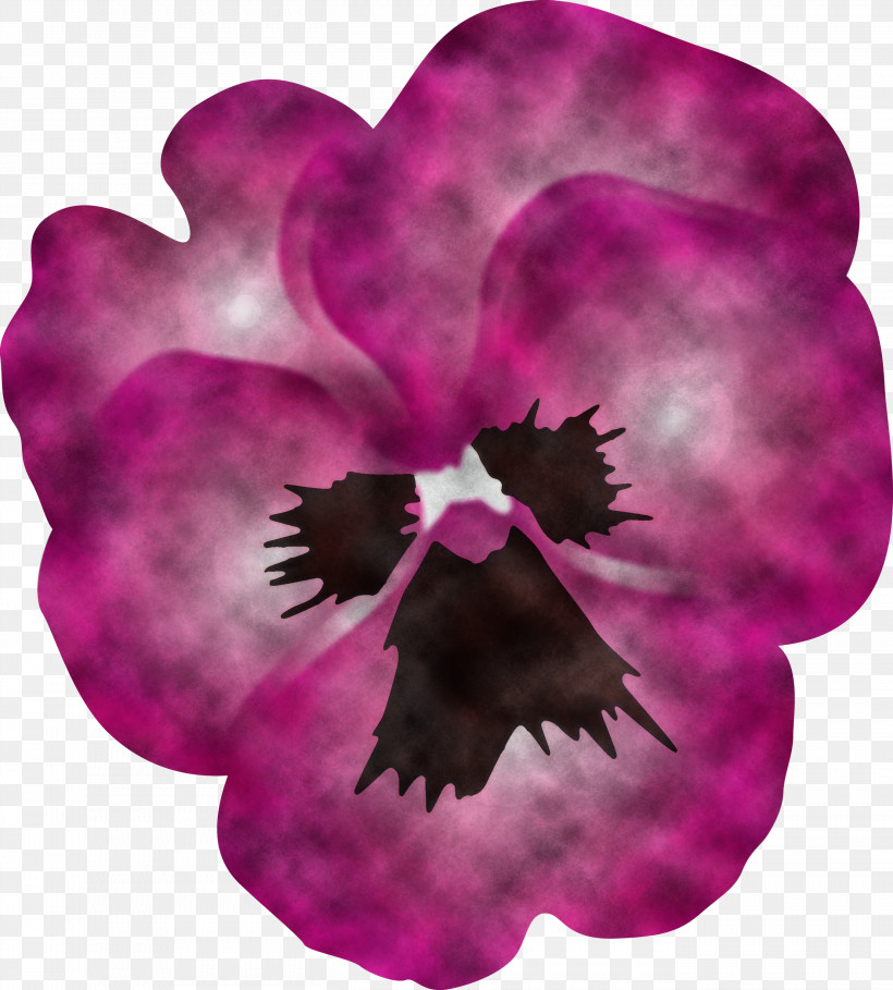 PANSY Spring Flower, PNG, 2706x3000px, Pansy, Cattleya, Flower, Heart, Magenta Download Free