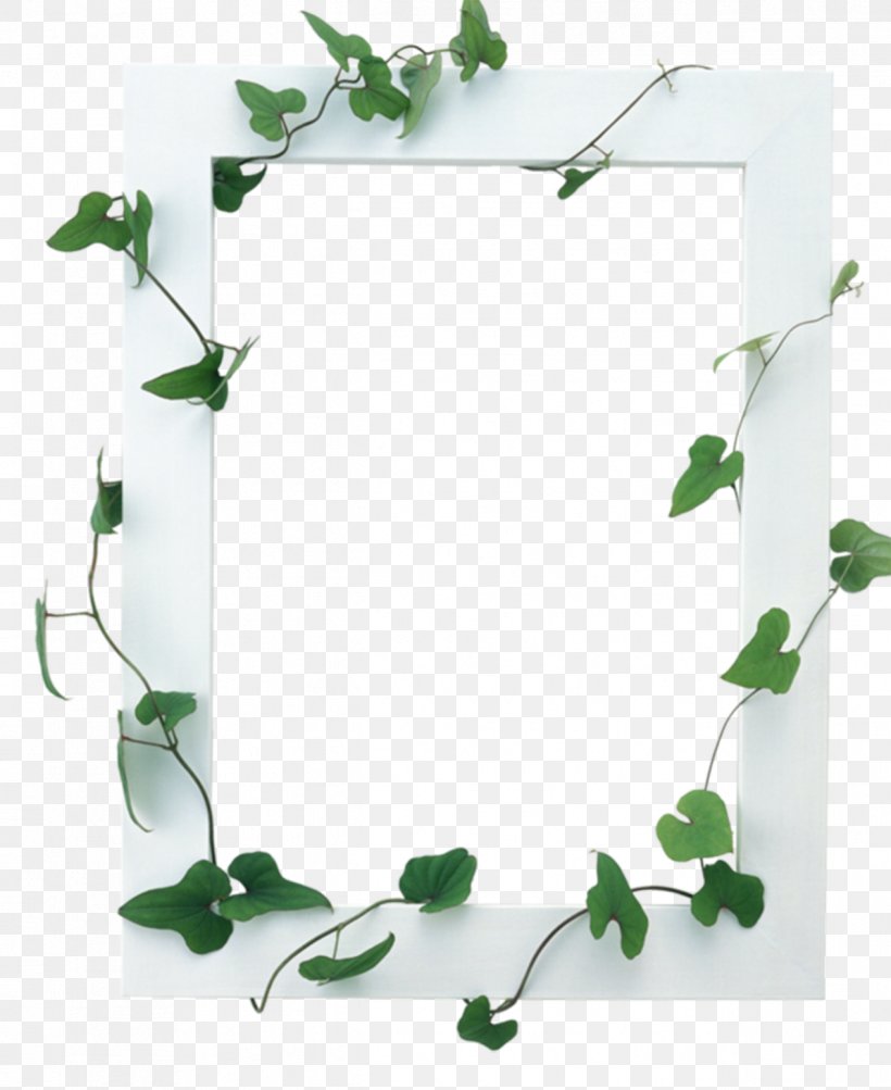 Picture Frames, PNG, 1266x1549px, Picture Frames, Branch, Child, Decorative Arts, Digital Photo Frame Download Free