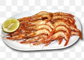 prawns images prawns transparent png free download favpng com