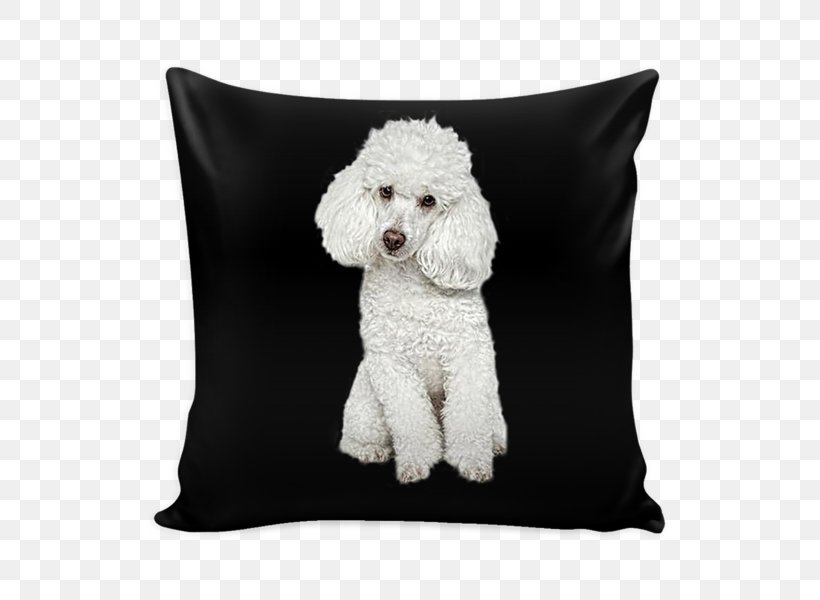 Standard Poodle Dog Breed Pillow Water Dog, PNG, 600x600px, Poodle, Animal, Breed, Canidae, Carnivoran Download Free