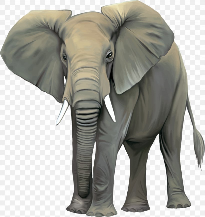 Asian Elephant African Elephant Stock Photography Clip Art, PNG, 3646x3851px, Asian Elephant, African Elephant, Drawing, Elephant, Elephants And Mammoths Download Free