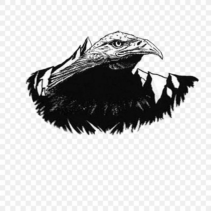 Beak Bird Of Prey Feather, PNG, 1500x1500px, Beak, Bird, Bird Of Prey, Black And White, Drawing Download Free